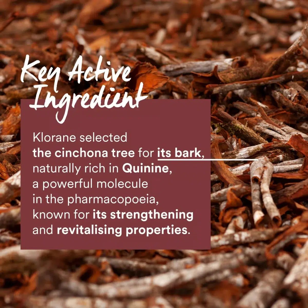 Klorane Anti-Hair Loss Serum 100ml – Image 12