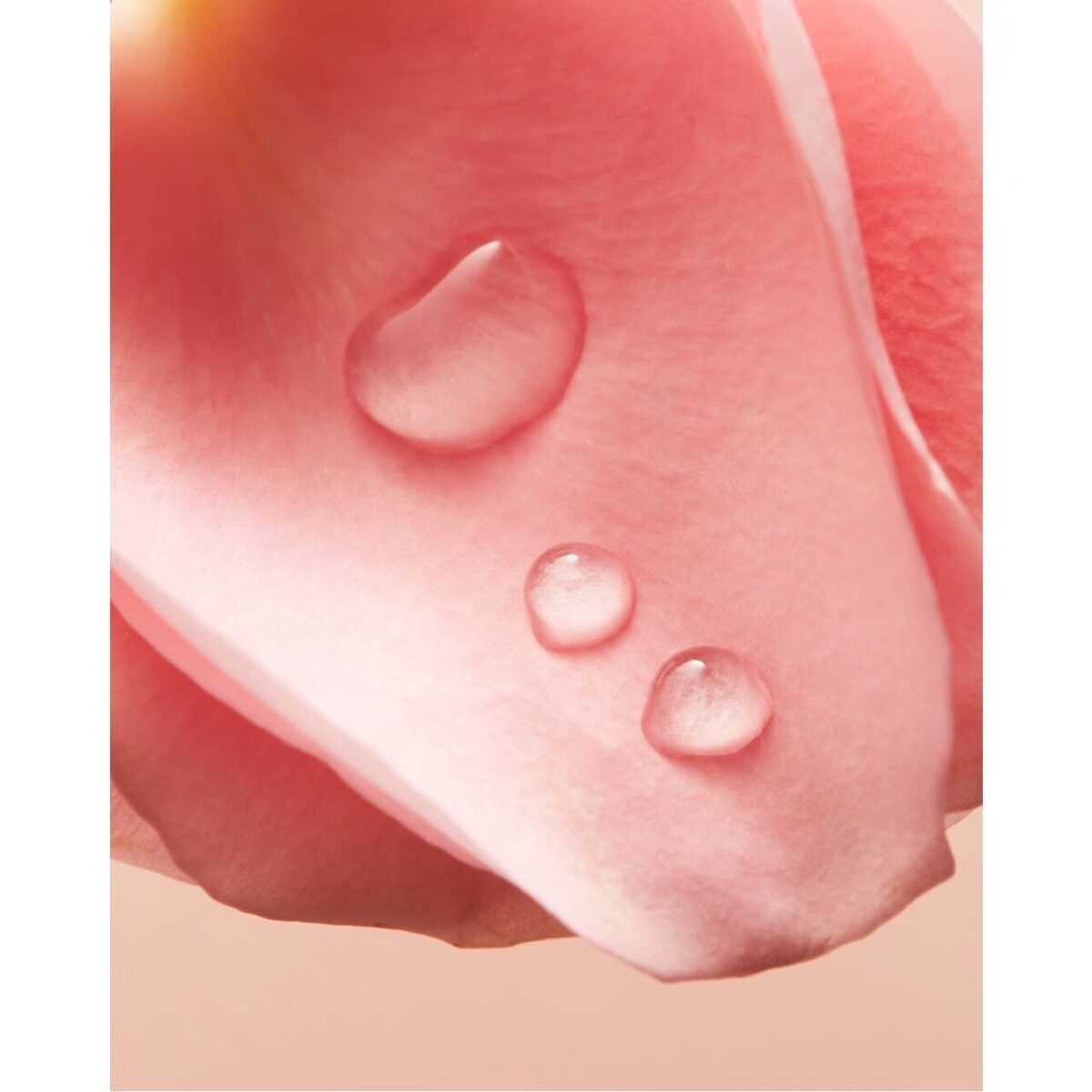 Nivea Rose & Almond Milk Shower Cream 750ml – Image 4